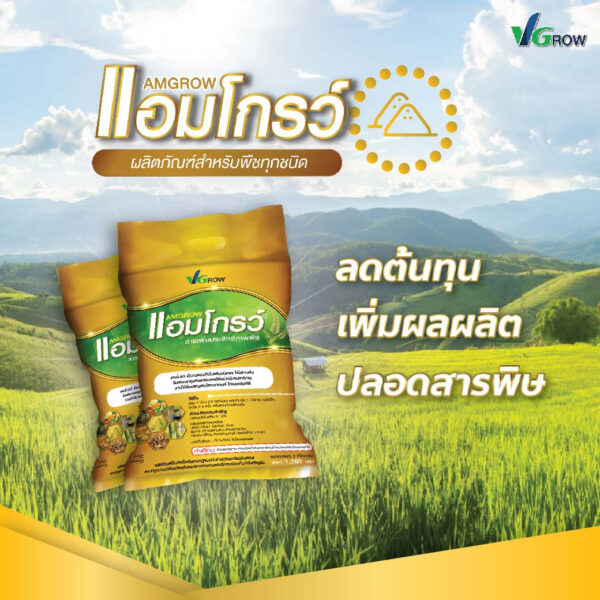 Alternative view of ผลิตภัณฑ์ แอมโกรว์ - AMGROW (ชนิดผง)