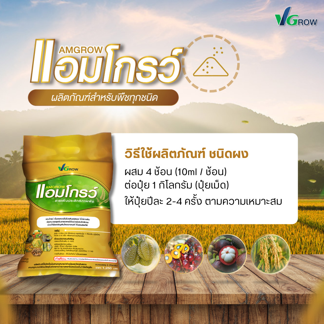 ผลิตภัณฑ์ แอมโกรว์ - AMGROW (ชนิดผง) - Image 4