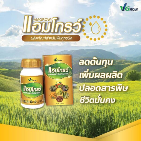 Alternative view of ผลิตภัณฑ์ แอมโกรว์ - AMGROW  (ชนิดน้ำ)